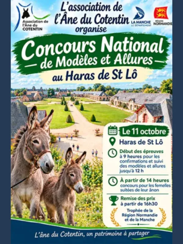 Concours national de modèles et allures