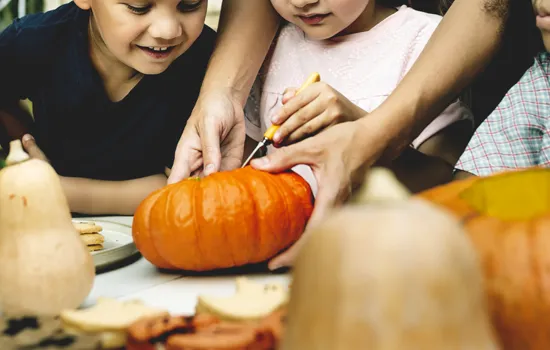 Atelier famille : Cucurbitacées et compagnie