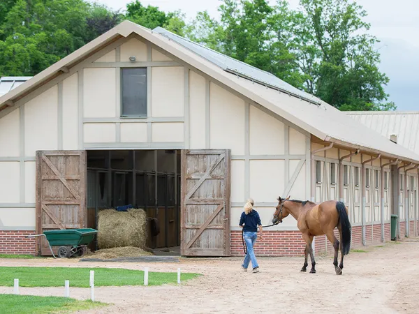 Les Equidays : Visite des coulisses de la série "Au galop" et d'une compétition équestre