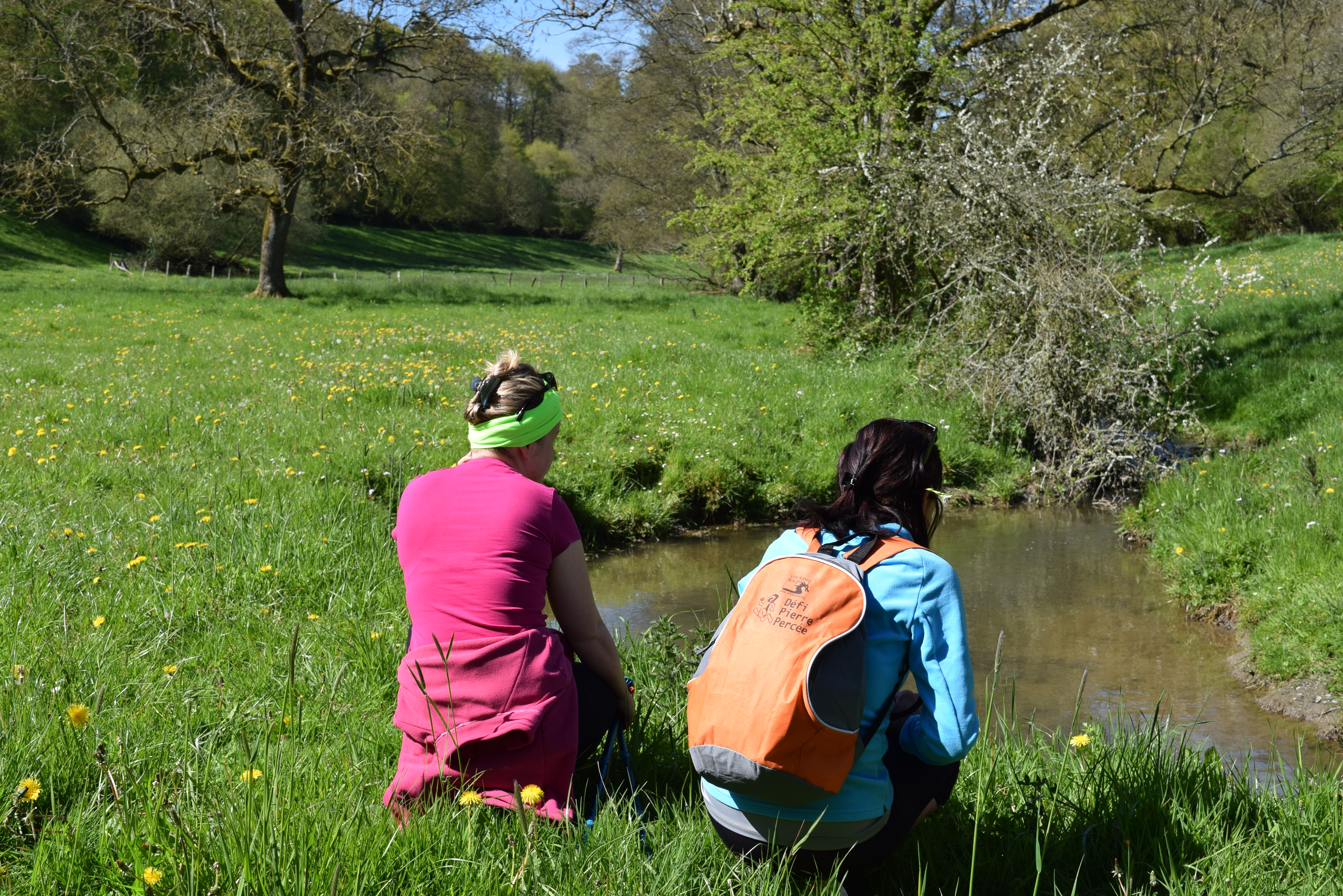 Marche et course coeur de FAM à Vire Normandie