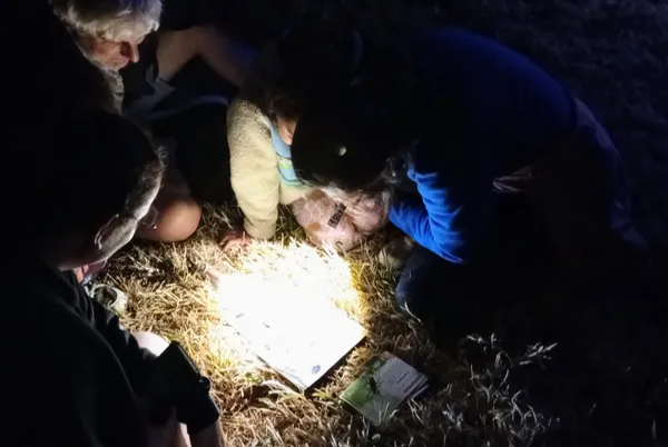 SORTIR DEHORS... sur les chemins de la nuit