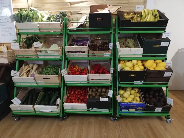 [Portes ouvertes] "Manger Bio et Local" à la Coop d'Albâtre