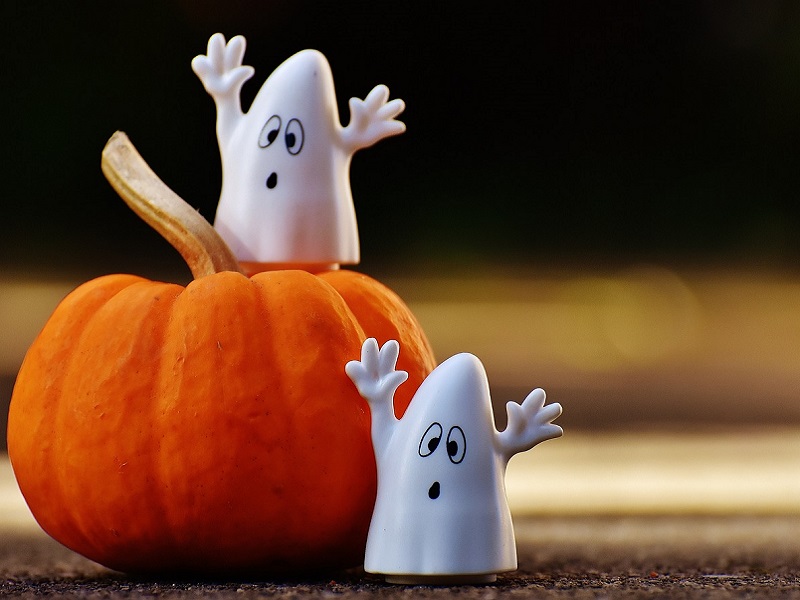 Halloween : Concours de citrouilles et animations