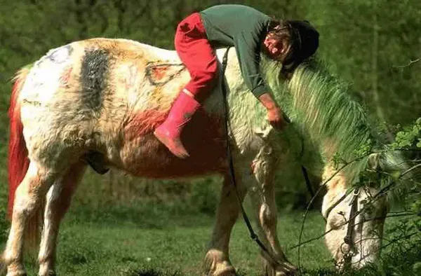 Séjour Tendresse