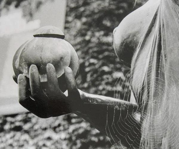 Deux regards sur l'argentique
