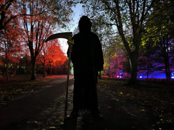 HALLOWEEN 2026 – OSEREZ-VOUS TRAVERSER LE BOIS DE L’AN 2000 ?