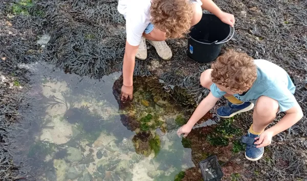 SORTIR DEHORS... à la découverte du littoral d'Albâtre