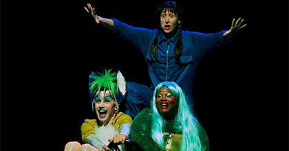 Théâtre marionnettes : Peau d'âne la fête est finie