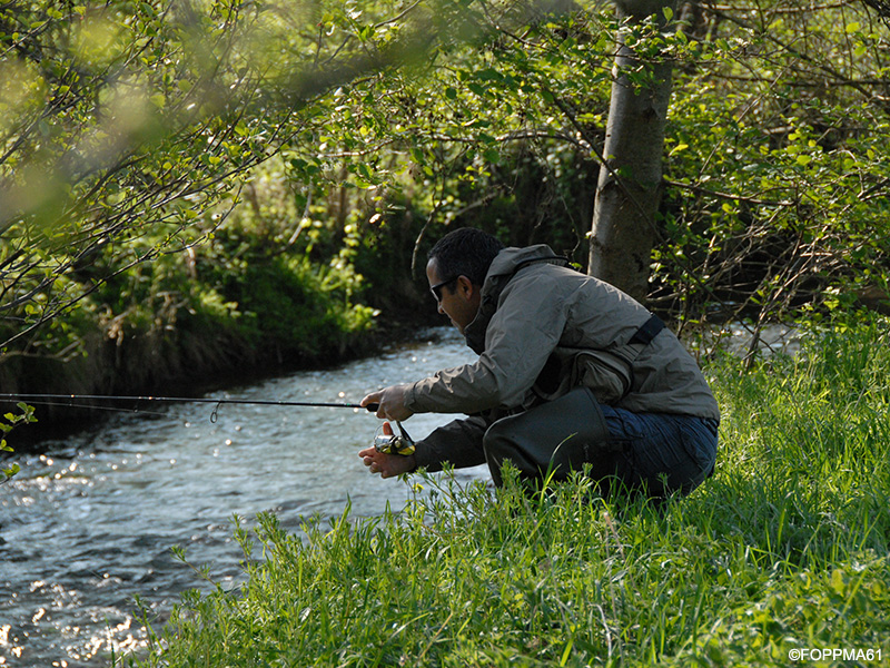 Enduro Pêche carpes 48h