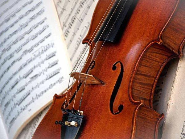 Concert du Quator Cotinga