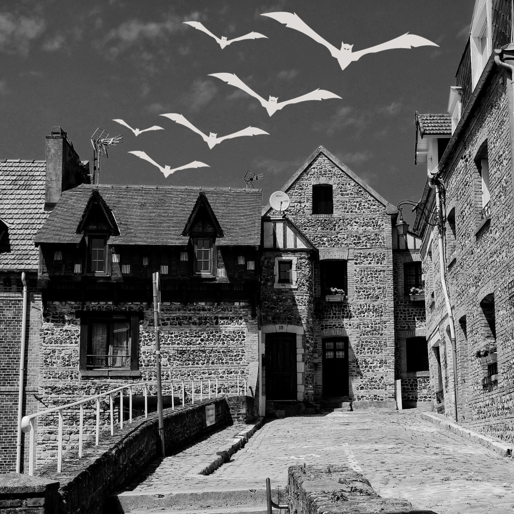 [Visite guidée] Peurs et superstitions dieppoises