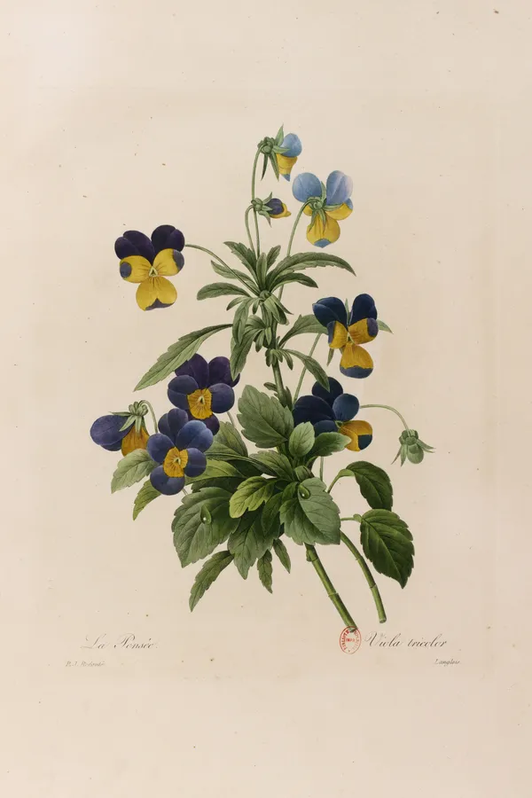 Exposition : Alors nous irons toruver la couleur ailleurs