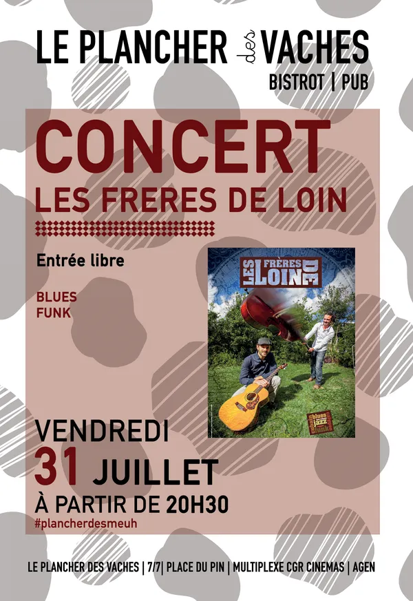Concert avec les Frères de Loin