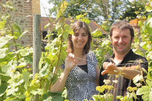 Vignes & gourmandises, au Clos Basté