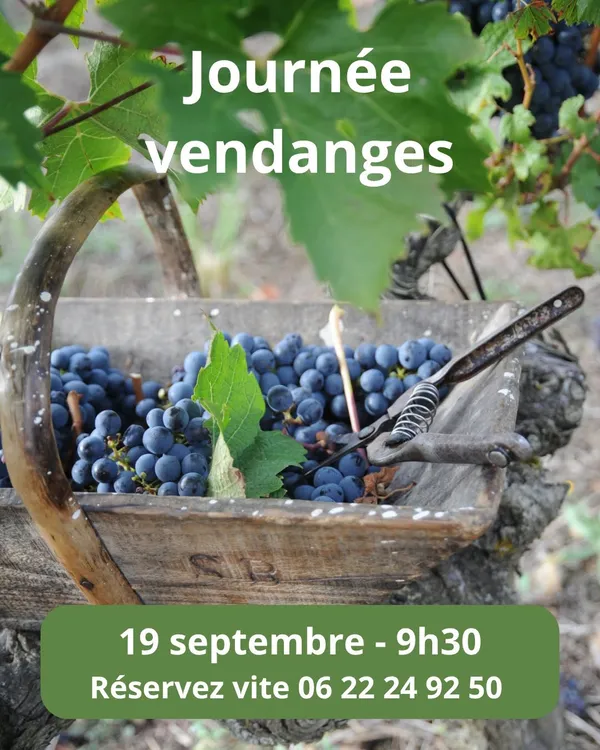 Journée vendanges au Château De La Croix (date avancée)