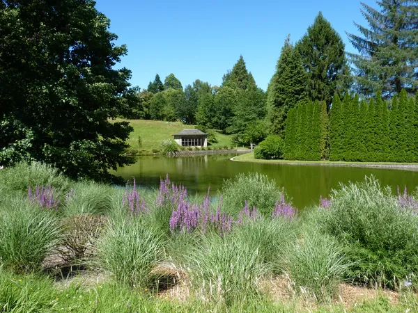 Aventuriers du parc, insectes et oiseaux à la loupe