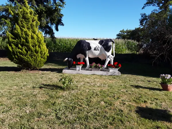 Visite de l'exploitation de vaches laitières