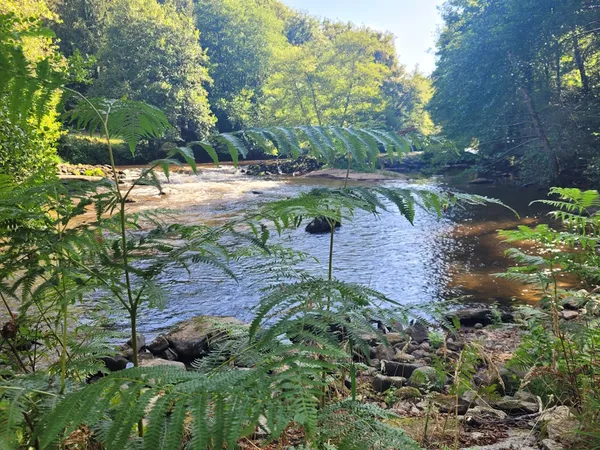 Balade bien-être au fil de l'eau - Juillet