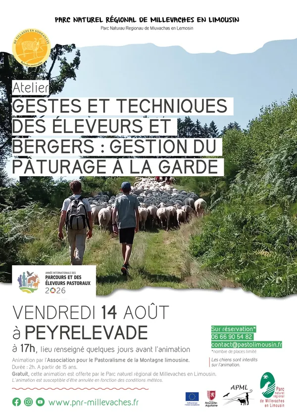 Gestes et techniques des éleveurs et bergers : gestion du pâturage à la garde