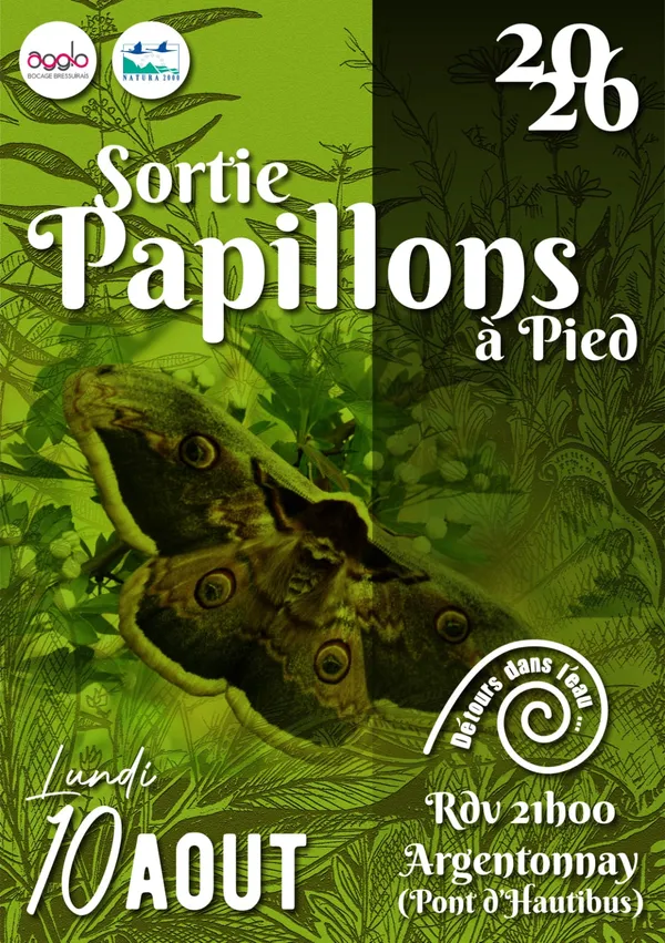 Sortie nature - Qui vole la nuit sur l'Argenton