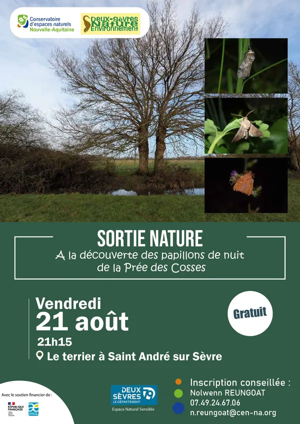 Sortie nature - À la découverte des papillons de nuit de la Prée des Cosses