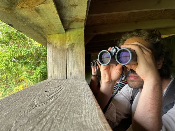 Visite guidée de la Réserve ornithologique du Teich en anglais