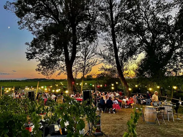Guinguette La Cabane du vigneron des Vignobles Turtaut