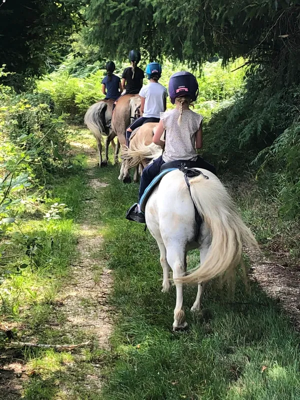 Balade à poney