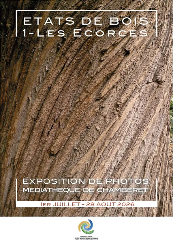 Exposition de photographies : Etats de bois - Ecorces