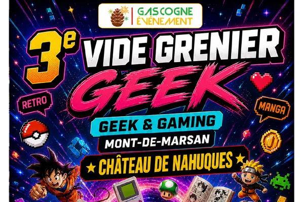 Vide Grenier Geek