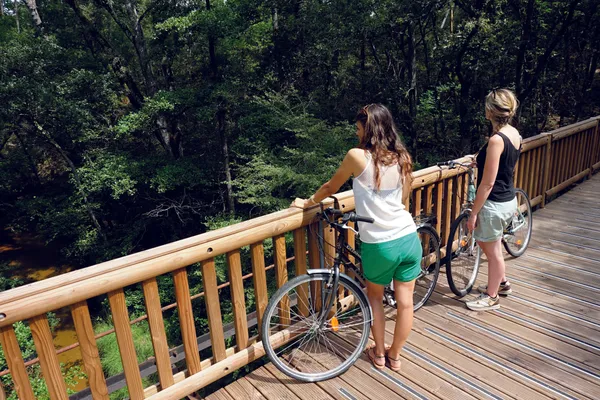 À vélo au Pays d’Aliénor