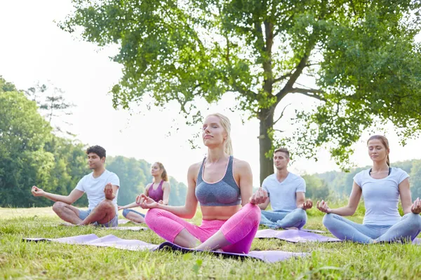 Cours de yoga à la ferme