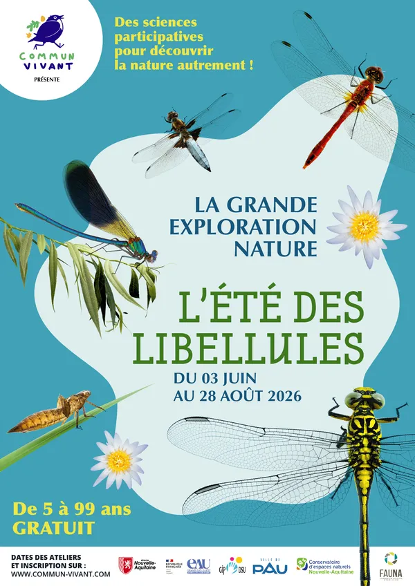 L'été des libellules - Ateliers sciences et nature