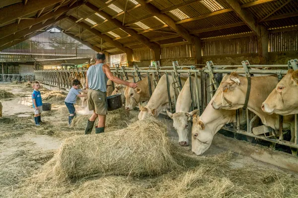 Apprenti à la ferme : moments magiques à la ferme