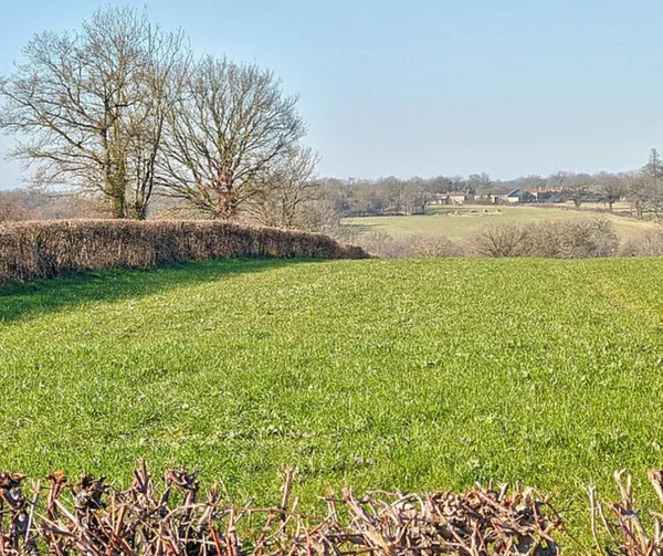 Balade nature "Le bocage dévoilé : nature préservée et géologie" à Luchapt