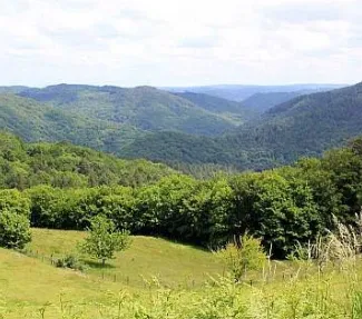 Balade-découverte à Albussac: "Nature et paysages du site de Roche de Vic"