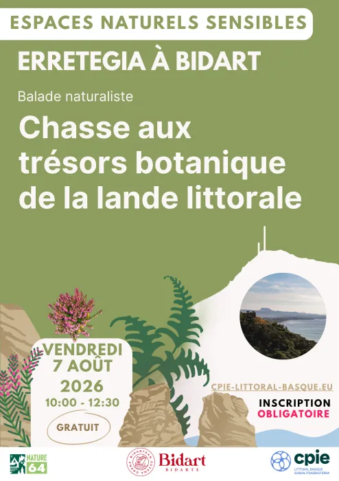 Chasse aux trésors botaniques de la lande littorale à Erretegia - CPIE Littoral basque