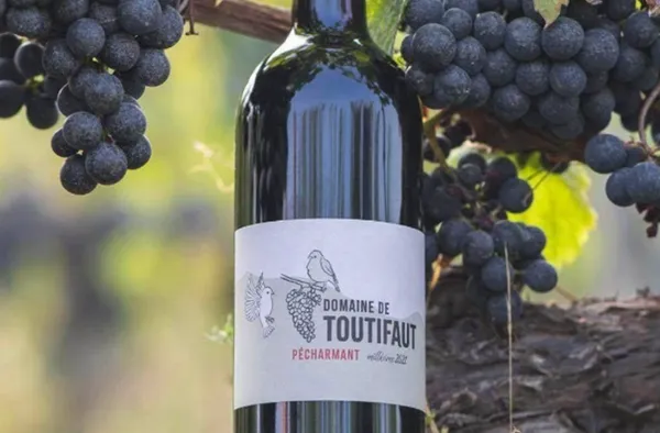 Domaine de Toutifaut | Visite & dégustation