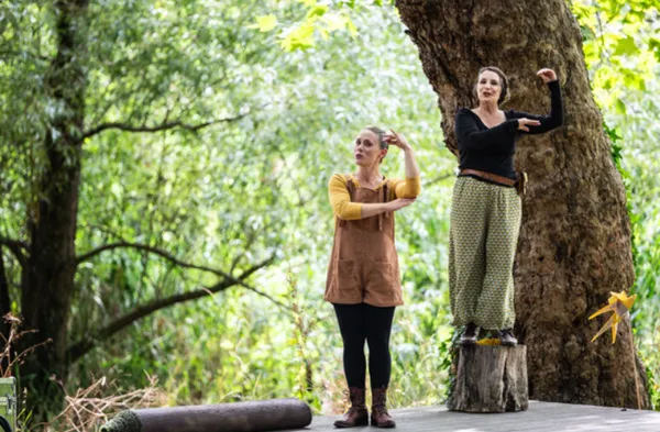 Festival du Nombril - Face aux arbres
