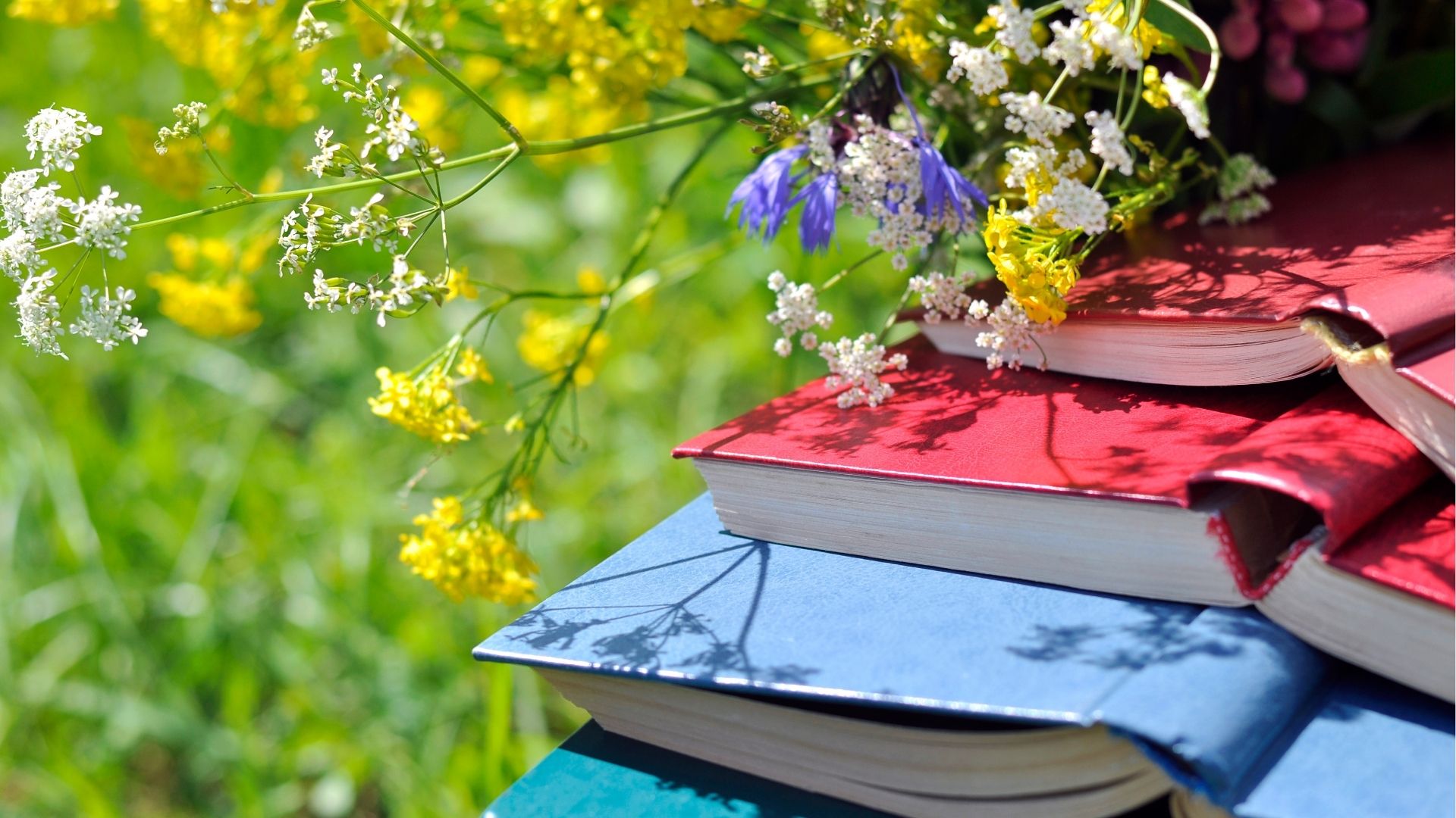 Lectures au jardin