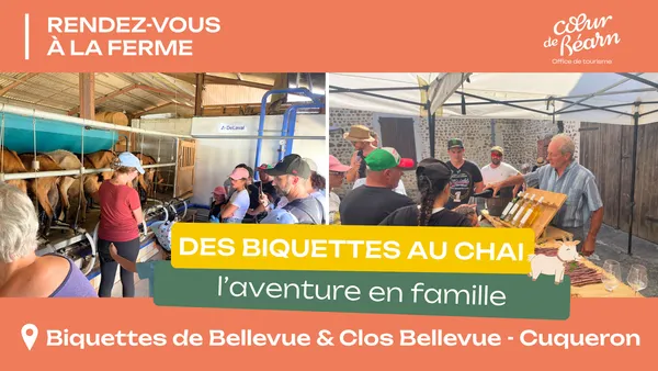 Rendez-vous à la ferme : Des biquettes au chai