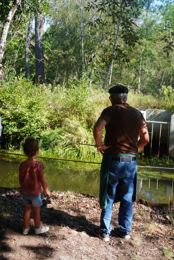 Faune et traditions à Marquèze