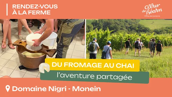Rendez-vous à la ferme : Du fromage au chai