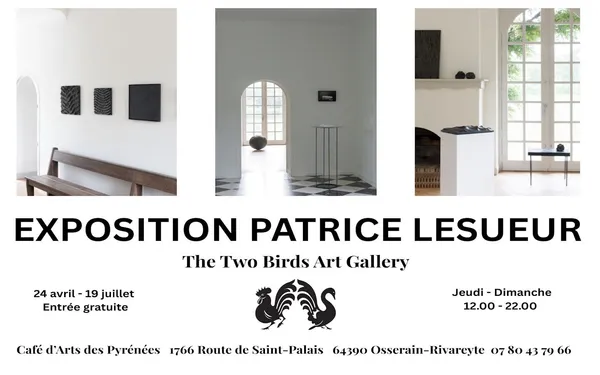 Exposition de Patrice Lesueur