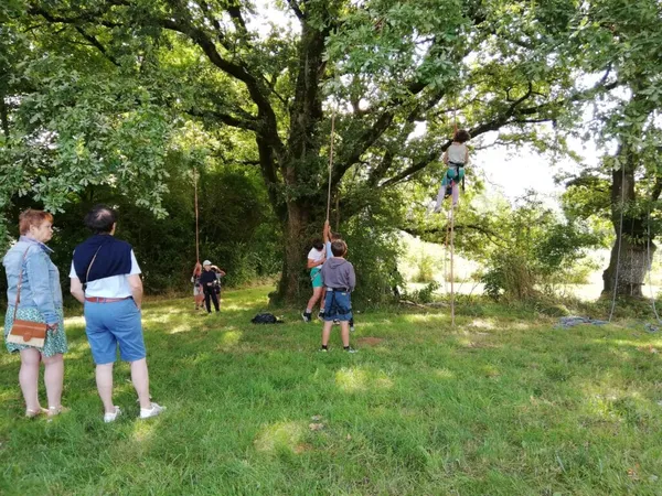 Les EstiVALes de SCIE - Tyrolienne dans les arbres