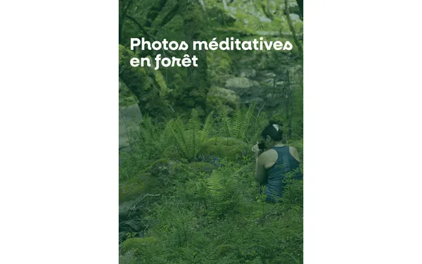 Photos méditatives en forêt