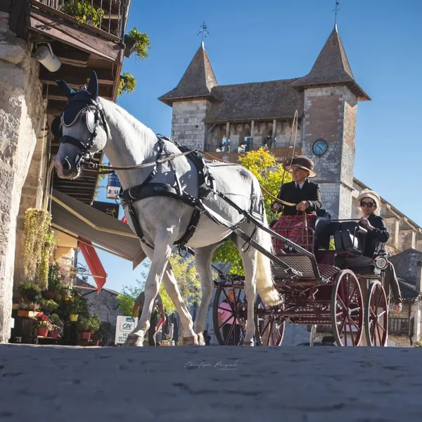 32ème Fête du cheval de Villeréal