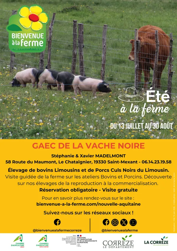 Gaec de la Vache Noire - Été à la ferme