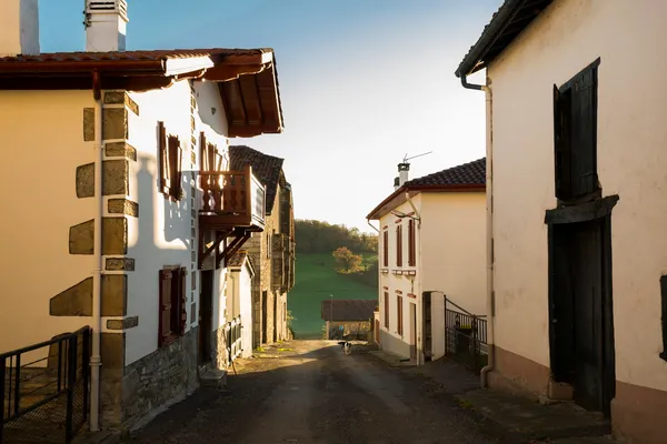 Visite guidée : L'histoire et le patrimoine d'Ostabat