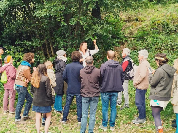 Sortie plantes sauvages comestibles